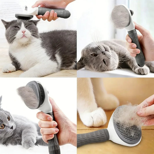 Self Cleaning Pet Brush